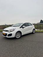 Kia Rio 1.2 I 5DRS 2014 Wit, Auto's, 450 kg, 40 €/maand, 4 cilinders, Wit