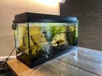 Aquarium., Ophalen of Verzenden, Leeg aquarium