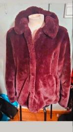 Didi paars jas, Kleding | Dames, Paars, Maat 42/44 (L), Didi, Ophalen of Verzenden