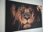 Mooi schilderij canvas van een Leeuw 150 x 100cm nieuw, Ophalen