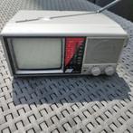 Portable tv, Ophalen of Verzenden, Gebruikt