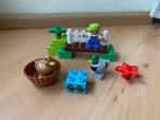 Duplo, bos eenden met poppetje, set 10581 compleet, Kinderen en Baby's, Speelgoed | Duplo en Lego, Ophalen of Verzenden, Gebruikt