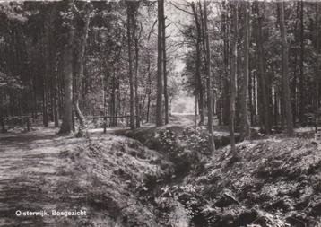 oisterwijk bosgezicht  beschikbaar voor biedingen