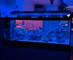 Giesemann Aurora Hybrid 150cm – LED + T5, Dieren en Toebehoren, Vissen | Aquaria en Toebehoren, Ophalen, Verlichting of Verwarming