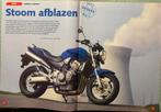 Test 2002 Honda CB900F, Ophalen of Verzenden, Zo goed als nieuw, Motoren