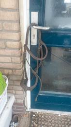 Hoofdstel maat cob bruin, Dieren en Toebehoren, Paarden en Pony's | Hoofdstellen en Tuigage, Ophalen of Verzenden, Nieuw