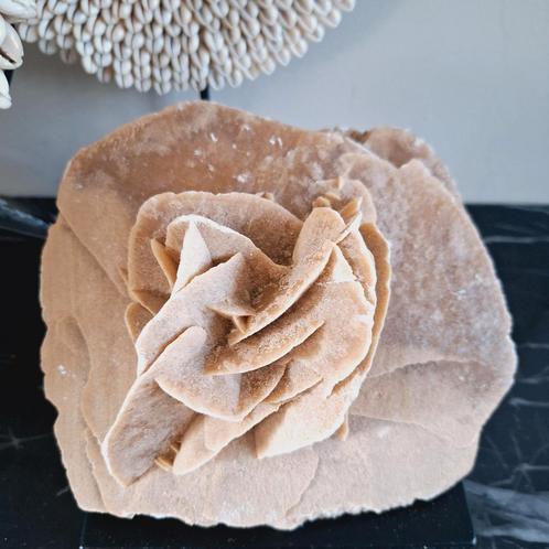 🌺Grote en zware woestijnroos op houten voet| hotel chic, Huis en Inrichting, Woonaccessoires | Overige, Nieuw, Ophalen of Verzenden