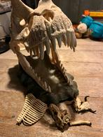 Schleich Dino Kop - Dinosaurus Schedel, Ophalen of Verzenden, Gebruikt, Reptiel of Amfibie, Schedel