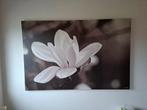 Magnolia Print, Huis en Inrichting, Woonaccessoires | Schilderijen, Tekeningen en Foto's, Ophalen, Oorspronkelijke maker, 100 tot 125 cm