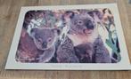 Koala met jong, Verzenden, Gelopen