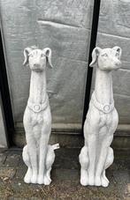 Hazewindhond van beton., Ophalen, Kunstverkoop, Nieuw, Kunstverkoop