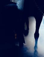 Hoefsmid heeft nog enkele plekken vrij in noord holland., Diensten en Vakmensen, Dieren | Paarden | Verzorging, Oppas en Les