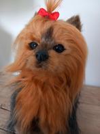 Yappy Yorkshire Terrier pluche hond  1990 verzamel item, Antiek en Kunst, Antiek | Speelgoed, Ophalen of Verzenden