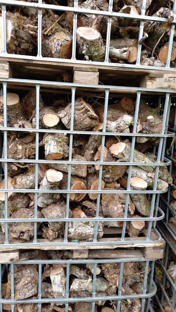 Open haard /kachelhout, Tuin en Terras, Haardhout, Overige houtsoorten, 3 tot 6 m³, Ophalen of Verzenden