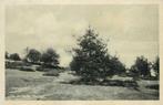 (300-283-035) Elspeet Op de Heide, Verzenden, Gelderland