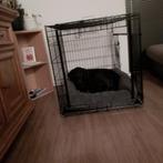 Honden banch, Dieren en Toebehoren, Ophalen of Verzenden, Zo goed als nieuw