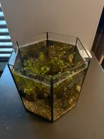 Vissenkom, Dieren en Toebehoren, Ophalen, Zo goed als nieuw, Leeg aquarium