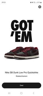 Nike Dunk low Pro RIOT SKATESHOP, Ophalen of Verzenden, Nieuw, Nike Dunk low