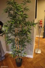 Online Veiling: Kunstplant - 170cm (h)