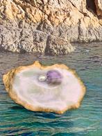 Oester deksel met zoetwater parel, Ophalen of Verzenden