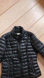 Als nw super mooie zwart Getailleerd MORGAN dames jas mt 40, Kleding | Dames, Jassen | Winter, Maat 38/40 (M), Zwart, Zo goed als nieuw