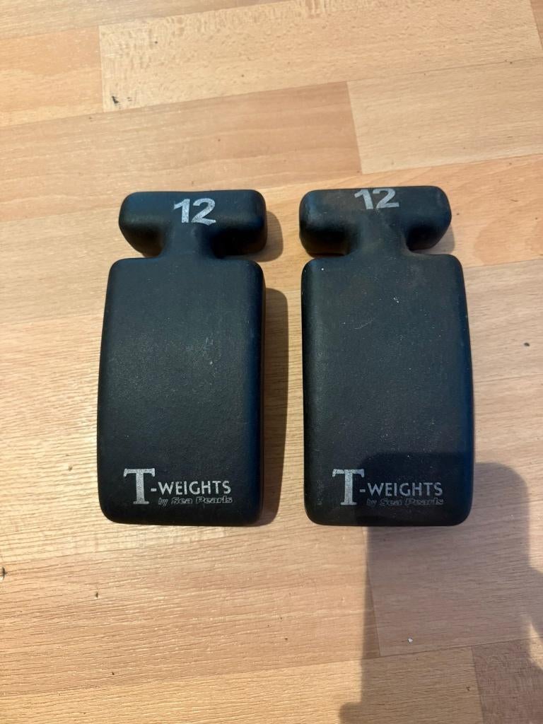 Tekoop gecoate duiklood blokken T-Weights 12, Watersport en Boten, Duiken, Ophalen, Zo goed als nieuw, Lood of Loodgordel
