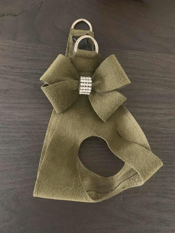 Susan Lancy hondentuigje stepp In xs/s groen, Dieren en Toebehoren, Honden-accessoires, Nieuw, Ophalen of Verzenden