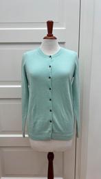 Mintgroen casmere vest mt36, Kleding | Dames, Ophalen of Verzenden, Zo goed als nieuw, Maat 36 (S), Groen