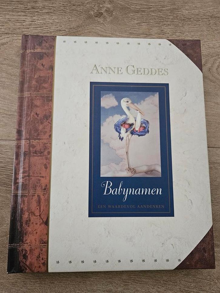Anne Geddes Babynamen - Een Waardevol Aandenken, Boeken, Overige Boeken, Zo goed als nieuw, Ophalen of Verzenden