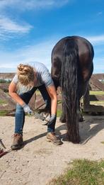 Barefoot bekapper aangeboden