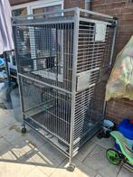 Vogelkooi voor papagaaien nu 60 euro, Ophalen, Zo goed als nieuw, Metaal, Vogelkooi
