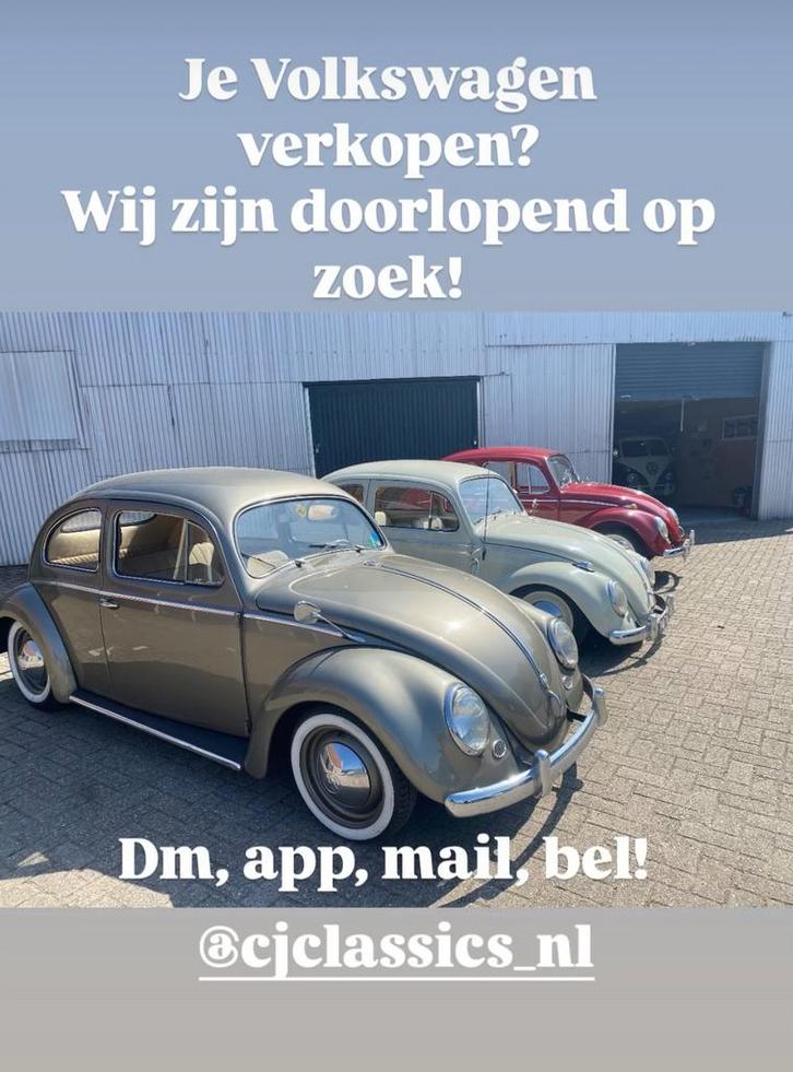 Volkswagen Kever, Ghia, GTI, T1 etc gezocht, Auto's, Volkswagen, Bedrijf, Beetle (Kever), Benzine, Sedan, Handgeschakeld, Blauw