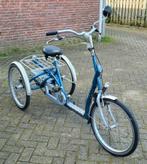 Driewieler met lage instap merk Van Raam Maxi (NIEUWSTAAT), Zo goed als nieuw, Ophalen