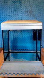 SuperFish Aquarium 30 Liter, Gebruikt, Ophalen, Leeg aquarium