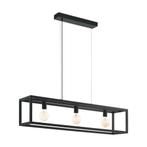 Zwarte Hanglamp, Ophalen of Verzenden, Zo goed als nieuw, Industrieel, Metaal