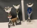Trofeeën/wedstrijdbekers/sportprijzen/bokalen, set 35, Sport en Fitness, Ophalen of Verzenden, Gebruikt