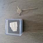 DAF pin & speld, Verzamelen, Speldjes, Pins en Buttons, Ophalen of Verzenden, Zo goed als nieuw, Transport
