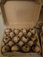 Kwartel eieren!, Ophalen