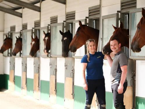 Vakkundig zadelmak maken/corrigeren, Diensten en Vakmensen, Dieren | Paarden | Verzorging, Oppas en Les