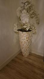 Echte schelpdecoratieset, Ophalen, Zo goed als nieuw