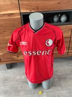 Matchworn FC Twente voetbalshirt Grujic, Sport en Fitness, Voetbal, Ophalen of Verzenden, Gebruikt, Shirt