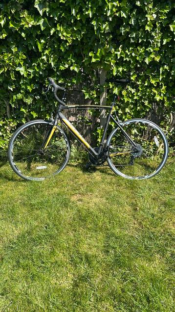 Elite Pau H 59 cm Shimano Tourney14 speed STI zwart okergeel beschikbaar voor biedingen