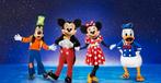 Disney on ice 25 december, Tickets en Kaartjes, Drie personen of meer, Meerdaags