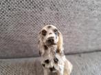 Beeldje hond setter mode, Verzamelen, Beelden en Beeldjes, Ophalen of Verzenden, Zo goed als nieuw, Dier