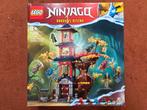 Nieuwe LEGO Ninjago 71795 Tempel van de Drakenenergie, Kinderen en Baby's, Speelgoed | Duplo en Lego, Ophalen of Verzenden, Nieuw