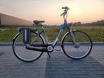 Nette Giant twist, Ophalen, Gebruikt, Giant, 47 tot 51 cm