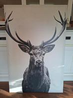 Schilderij - Hert, Ophalen, Zo goed als nieuw, Schilderij, 75 cm of meer