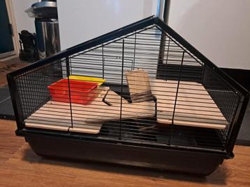 Hamsterkooi beschikbaar voor biedingen