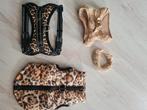 Hondentuigjes NIEUW, Ophalen, Nieuw, Hondenriem-accessoire