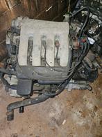 vw 2.0 16v ABF motor met ecu kabelboom bak swap, Auto diversen, Ophalen, Volkswagen, Info@wealer.nl, Zuiderinslag 2 3833 BP Leusden